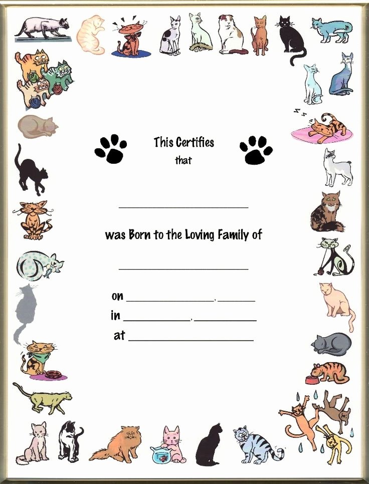 Free Pet Birth Certificate Template Unique Pet Birth Certificate