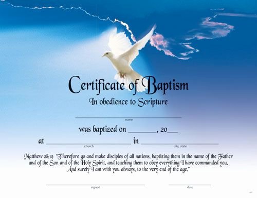 Free Printable Baptism Certificates Awesome Printable Fillable Certificate Of Baptism