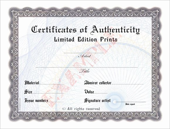 Free Printable Certificate Of Authenticity Templates Elegant 7 Best Certificate Templates Images On Pinterest