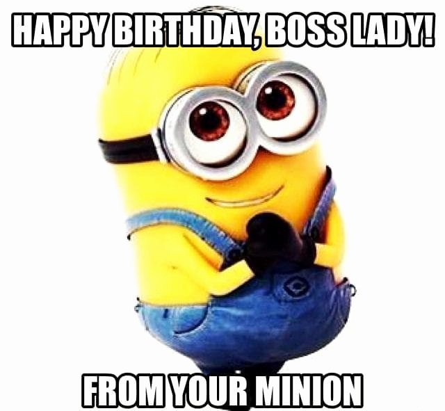 Funny Boss Day Pictures Lovely 500 Happy Birthday Happy Birthday Wishes