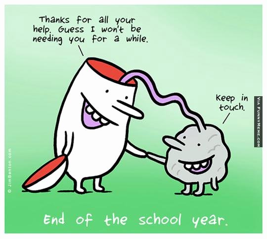 Funny End Of School Year Pictures Luxury Year End Funny Quotes Quotesgram
