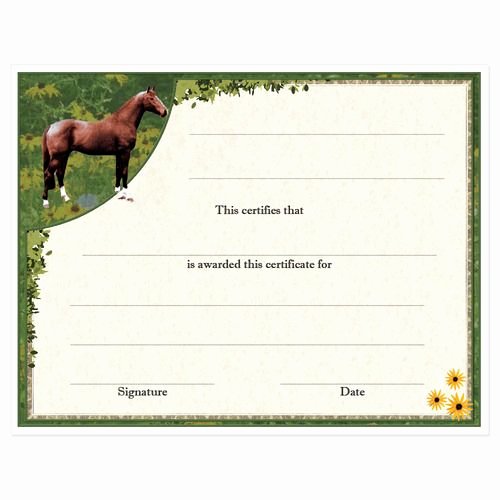 Horseback Riding Lesson Gift Certificate Template New Award Certificates Full Horse Design