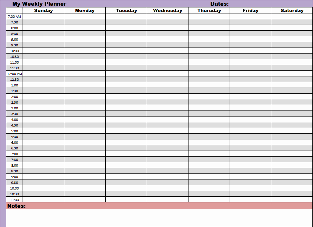 Hourly Weekly Planner New Weekly Hourly Time Management Sheet Financial