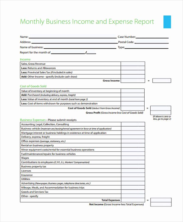 Income and Expense form Beautiful Free 27 Printable Expense Report forms