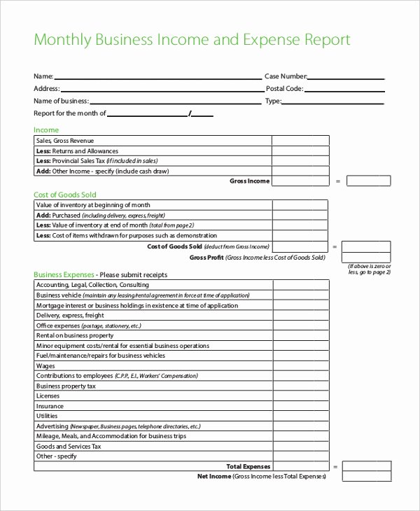 Income and Expense form Beautiful Free 8 Sample Business Expense Report forms