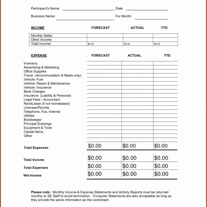 Income and Expense form Beautiful In E and Expense Statement Template Word