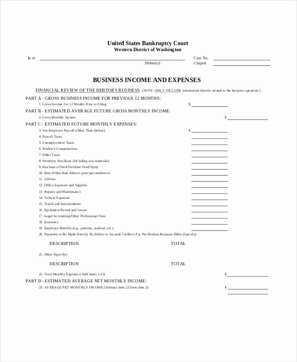 Income and Expense form Lovely Free 9 In E and Expense form In Sample Example format