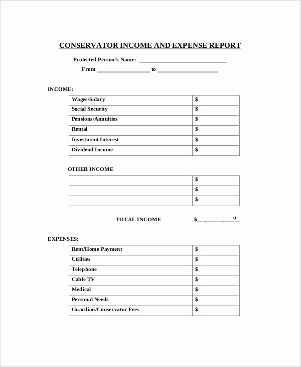 Income and Expense form New Expense Report 20 Free Word Excel Pdf Apple Pages