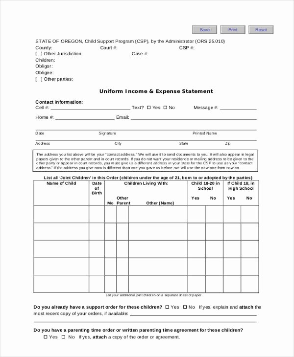 Income and Expense form New Free 9 In E and Expense form In Sample Example format