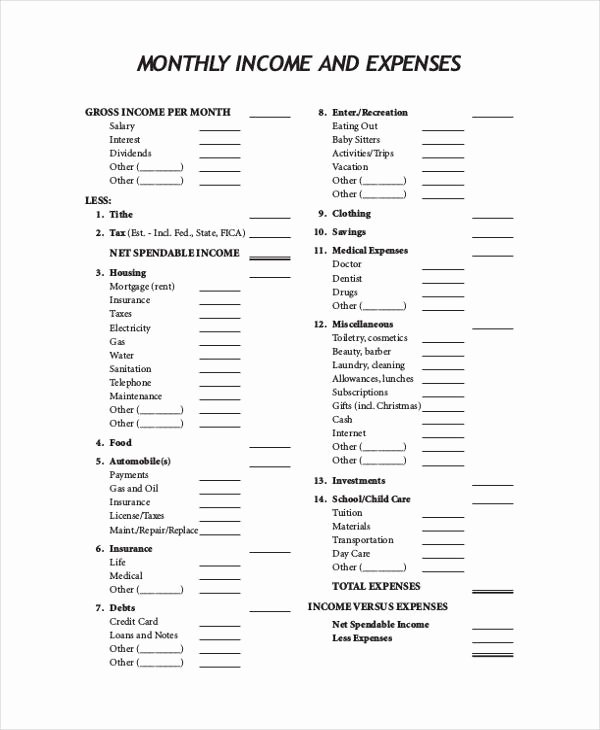 Income and Expense Statement form Lovely Free 9 In E and Expense form In Sample Example format