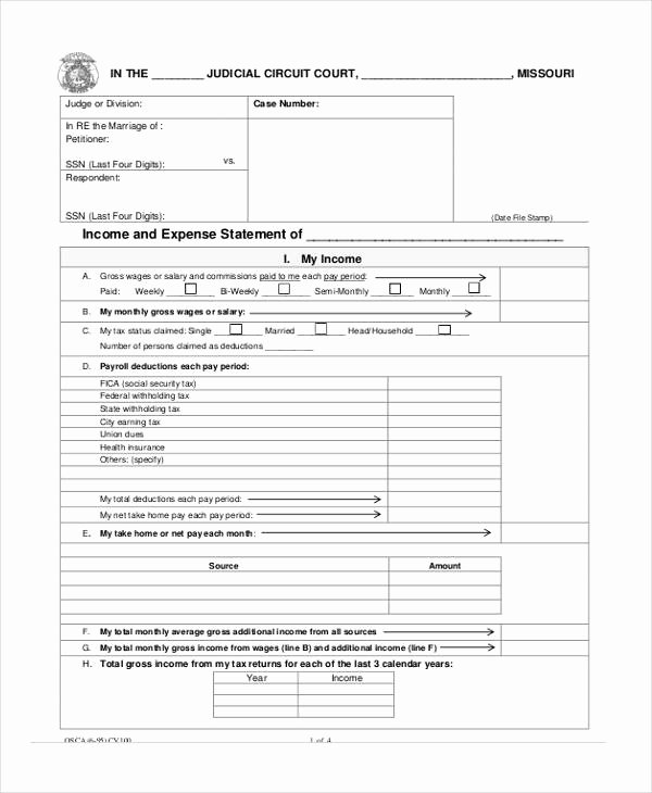Income and Expense Statement form New Free 9 In E and Expense form In Sample Example format
