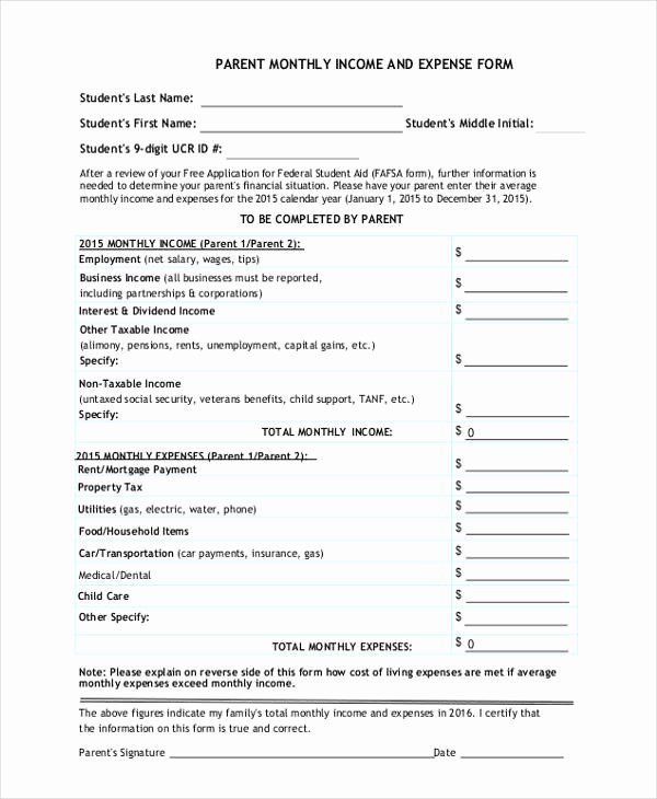 Income Expense form Best Of Free 9 In E and Expense form In Sample Example format