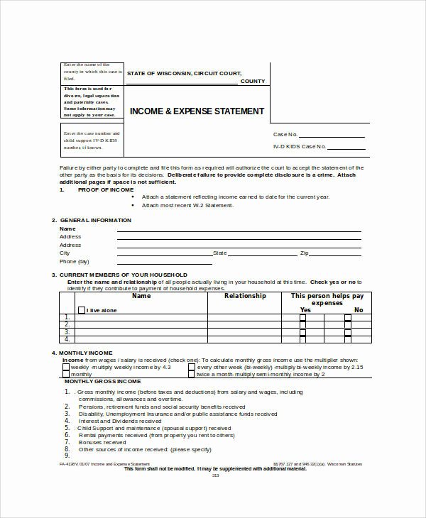 Income Expense form Elegant 26 Sample Statement forms In Doc