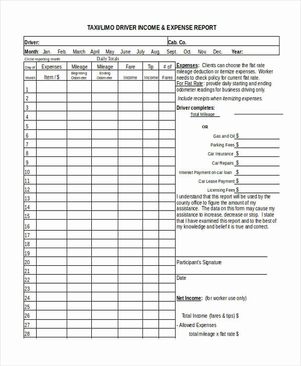Income Expense form Inspirational Free 20 Expense Report forms