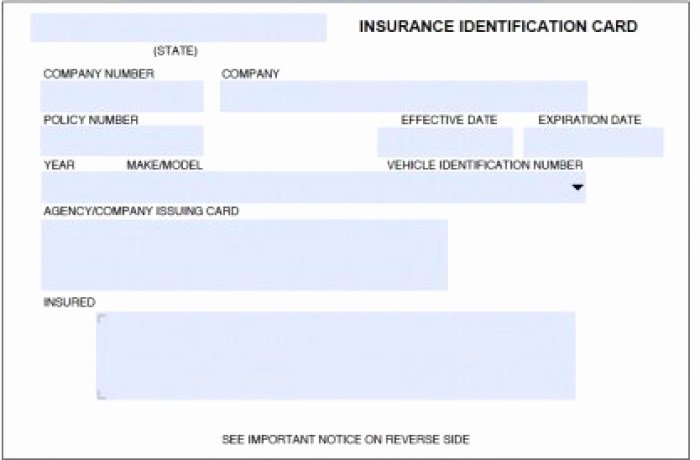 Insurance Card Template Best Of Auto Insurance Card Template Psd Free