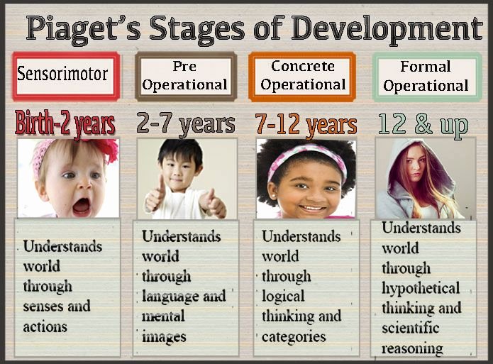 Jean Piaget&amp;#039;s Stages Of Cognitive Development Chart Luxury Babies Cognitive Abililities Jean Pia S Four Stages Of