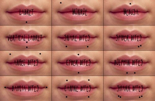 Lip Piercing Pain Chart Beautiful Lip Piercing Types