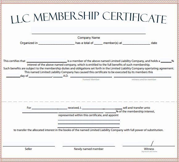 Llc Membership Certificate Template Elegant Free 14 Membership Certificate Templates In Samples