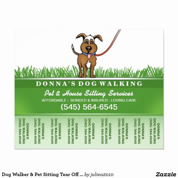 Lost Pet Template Google Docs Luxury Dog Walking Excel Spreadsheet Google Spreadshee Dog