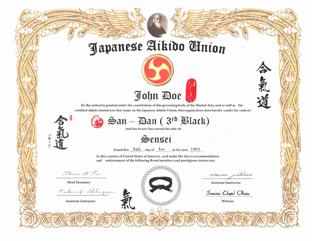 Martial Arts Certificate Maker Elegant Aikido 11 X 14 Custom Certificate