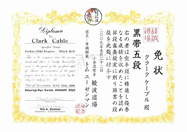 Martial Arts Certificate Template Best Of 15 Luxury Martial Arts Certificate Templates Maotme Life