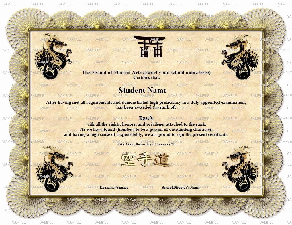 Martial Arts Certificate Template Unique Martial Arts Karate Rank Belt Certificate and 50 Similar Items