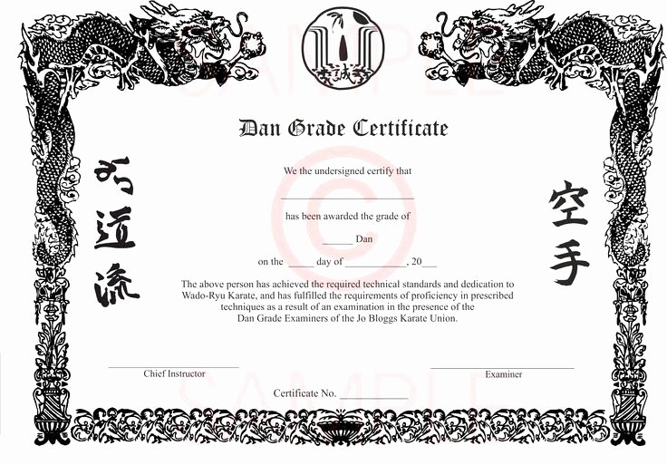 Martial Arts Certificates Free Fresh 30 Martial Arts Certificates Free