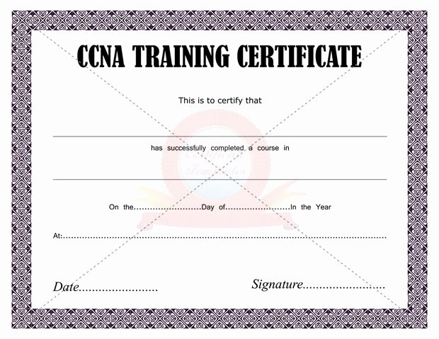 Nsc Cpr Course Certificate Template Awesome Ccna Training Certificate