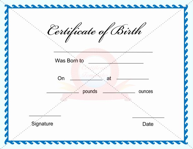 Official Blank Birth Certificate Template Inspirational Docx Print Birth Certificate Blank Templates 1