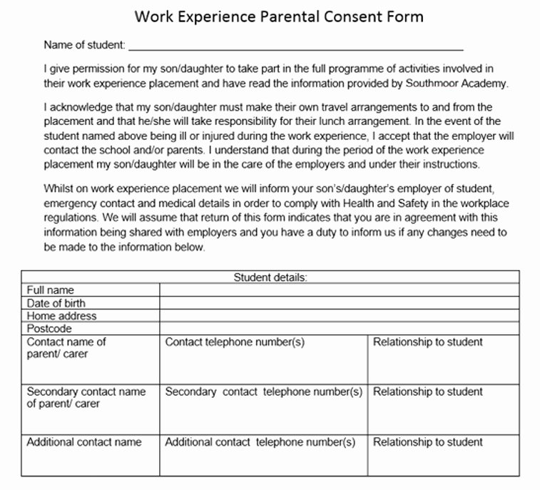 Parental Consent form for Work Unique southmoor Academy Work Experience southmoor Academy