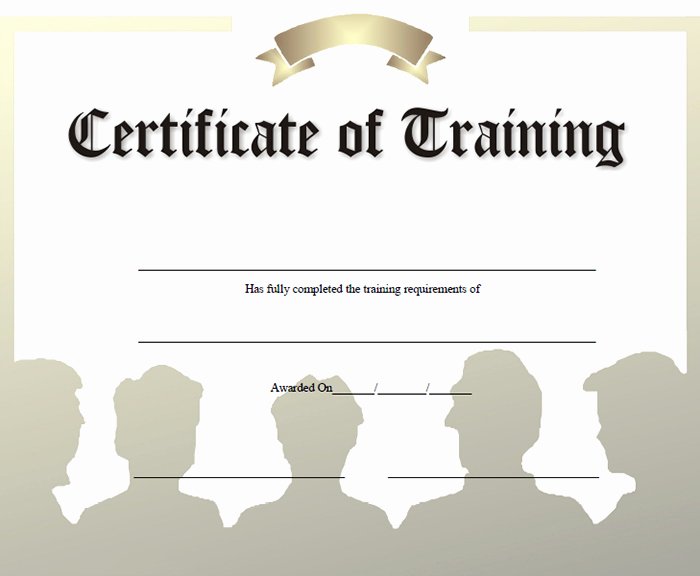 Parenting Class Certificate Of Completion Template Luxury 27 Of Class Pletion Certificate Template