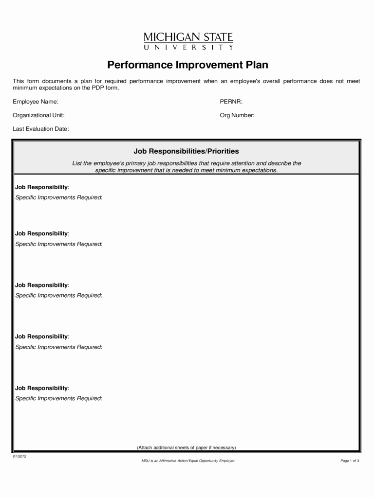 Performance Improvement Plan Template Excel Luxury Performance Improvement Plan Sample 2 Free Templates In