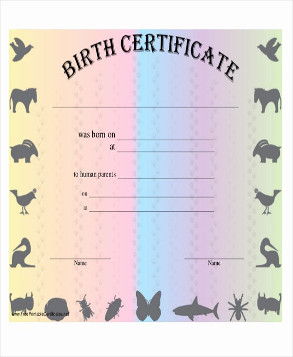 Pet Birth Certificate Template Fresh 26 Printable Certificate Templates