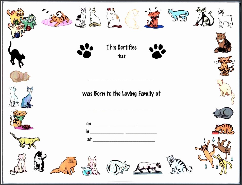Pet Birth Certificate Template Fresh 9 Printable Birth Certificate Template Sampletemplatess