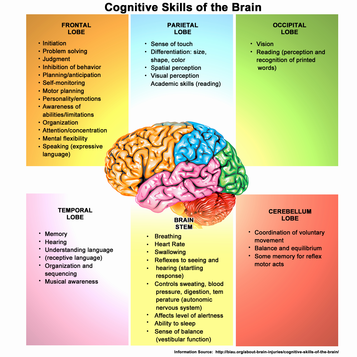 Cognitive Development Milestones Chart