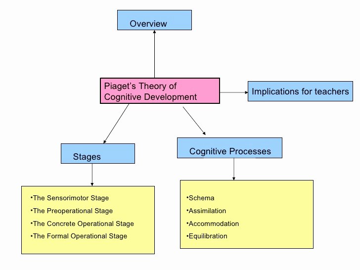 Piaget 4 Stages Of Cognitive Development Chart Inspirational Pia theory