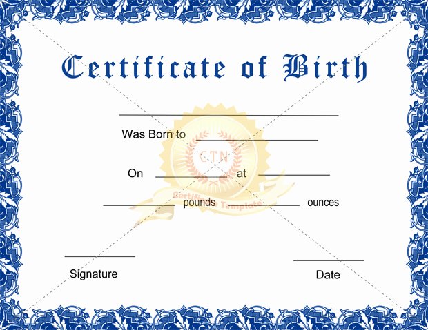 Pictures Of Blank Birth Certificates Awesome Blank Birth Certificate