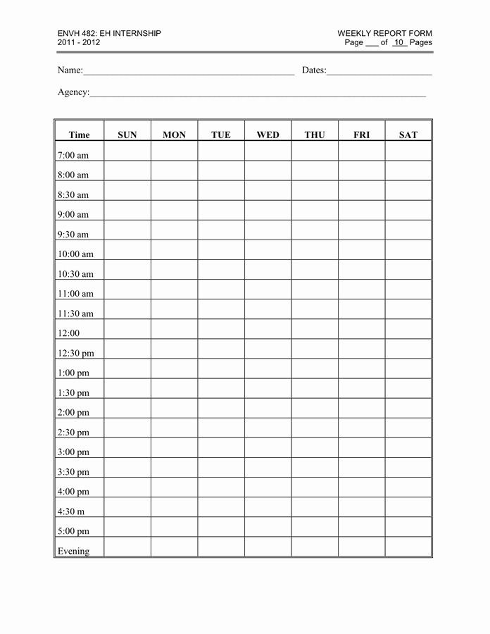 Police Daily Activity Log Template Best Of Daily Log Sheet In Word and Pdf formats