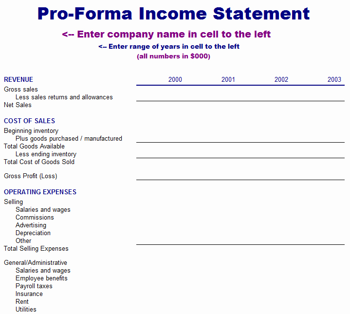 Pro forma Financial Statement Example Fresh Business Templates Project Timeline Template