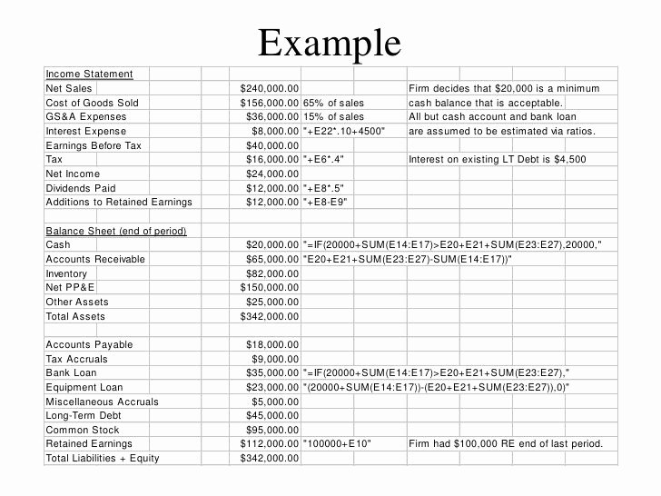 Pro forma Financial Statements Example Awesome Pro forma Statement Example Google Search
