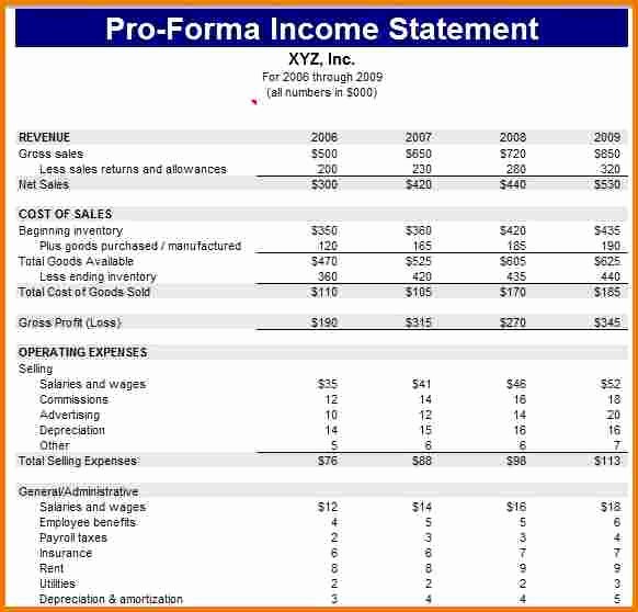 Pro forma Statement Examples Beautiful Proforma In E Statement