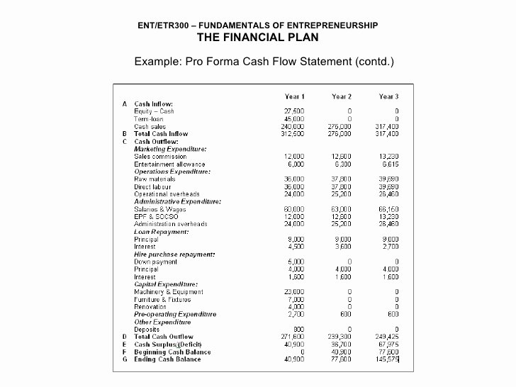 Pro forma Statement Examples Best Of Ent300 Module11