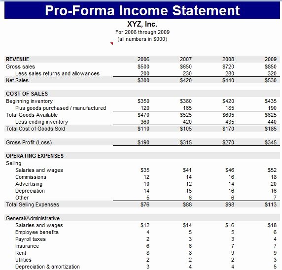 Pro forma Statement Examples Lovely Proforma Balance Sheet Template