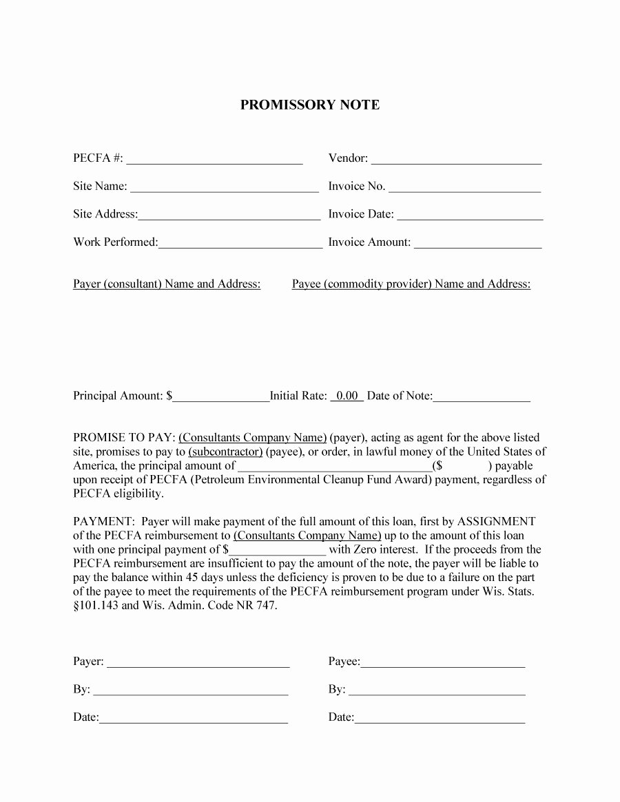 Promise to Pay Fresh 45 Free Promissory Note Templates &amp; forms [word &amp; Pdf]