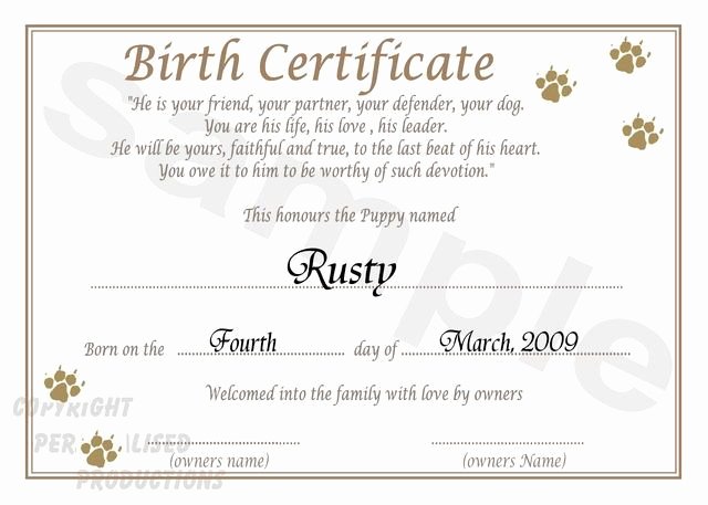 Puppy Adoption Certificate Template Inspirational Dog Birth Certificate Template