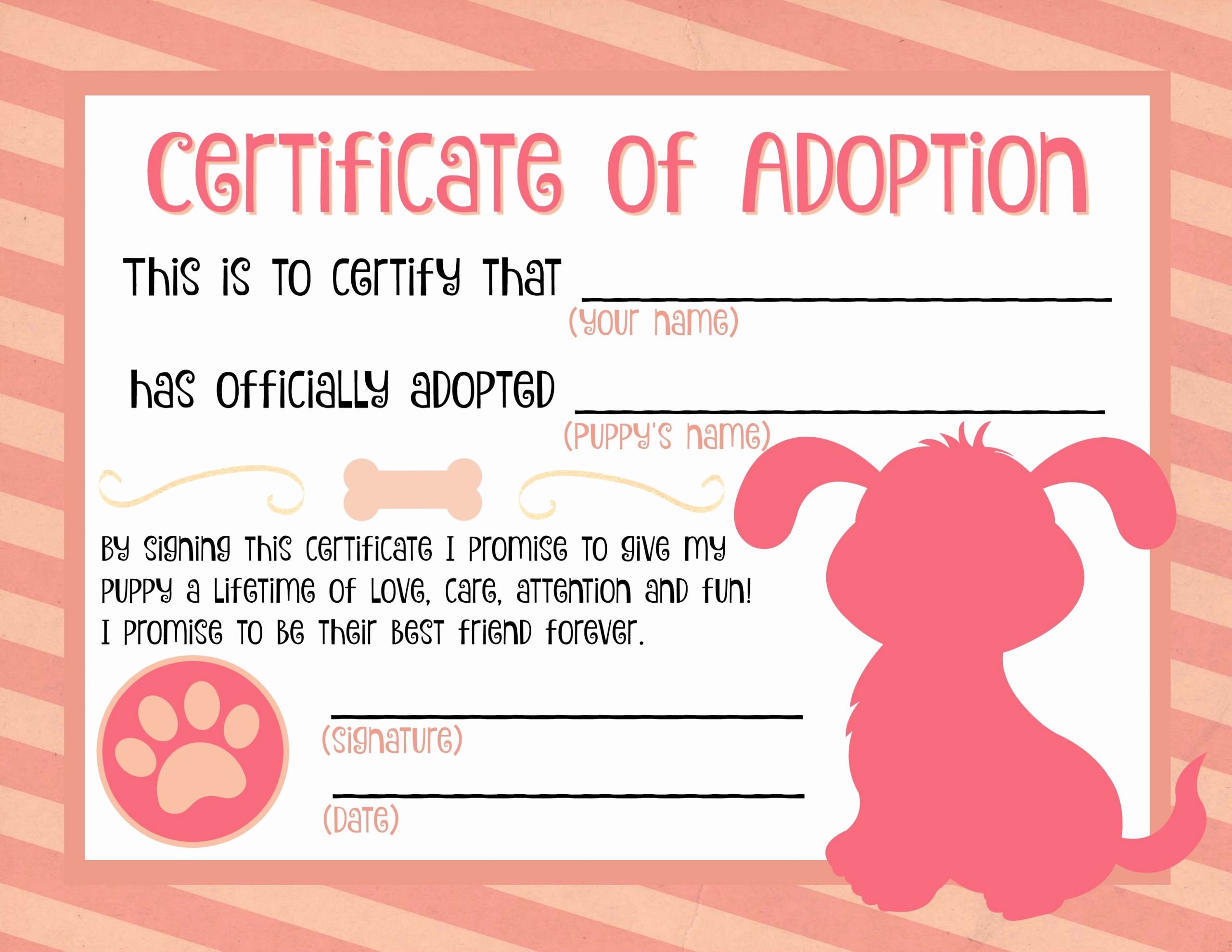 Puppy Birth Certificate Template Free Beautiful Best 25 Adoption Certificate Ideas On Pinterest