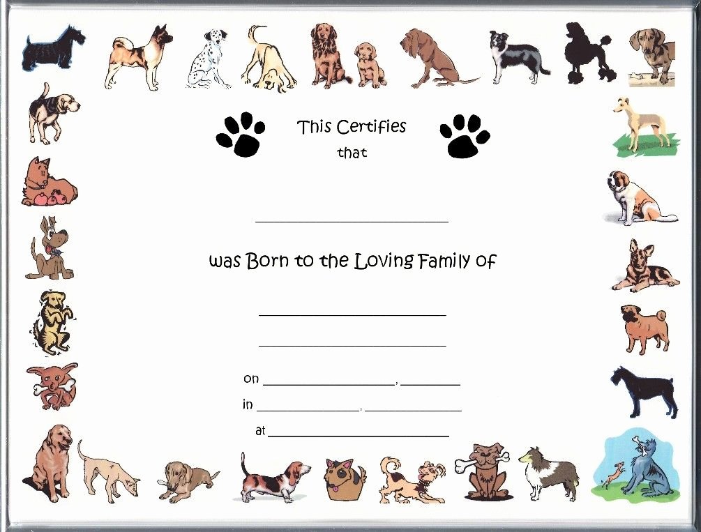 Puppy Birth Certificate Template Free Best Of Free Pet Birth Certificate Template Puppy Birth