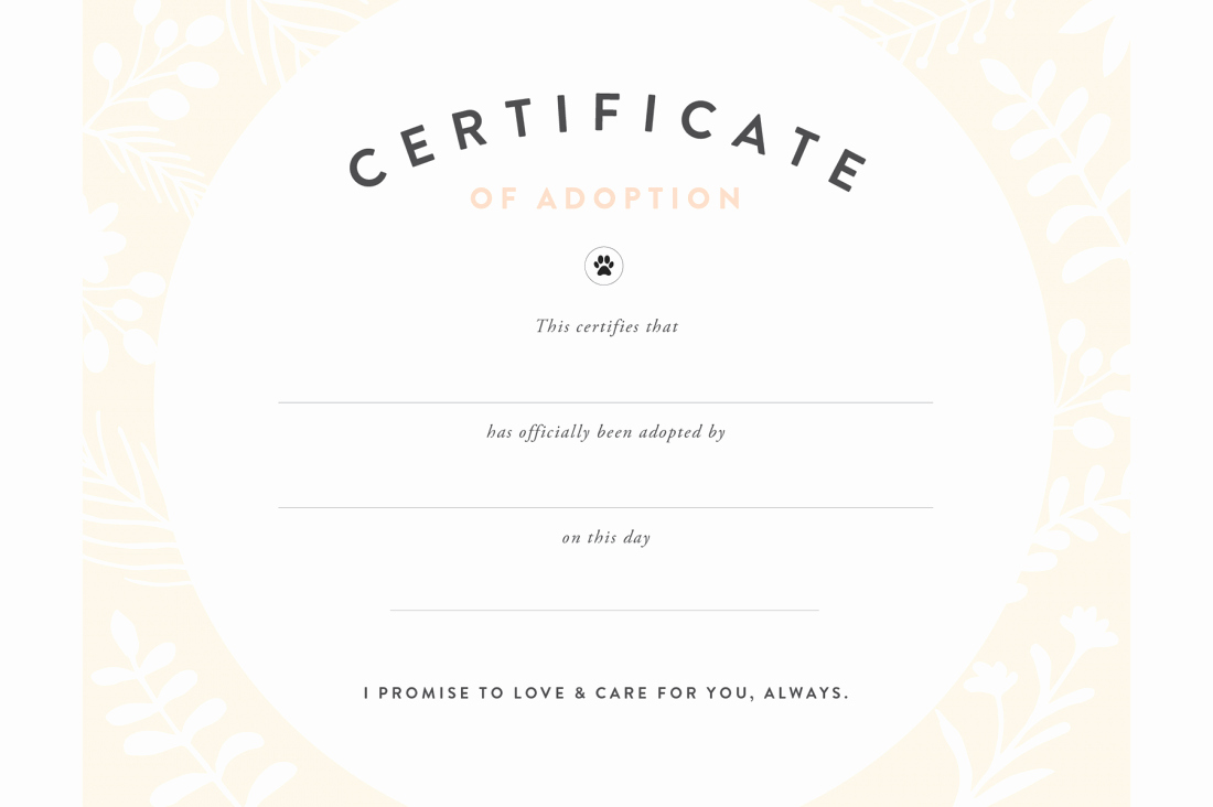 Puppy Birth Certificate Template Free Lovely Pretty Fluffy