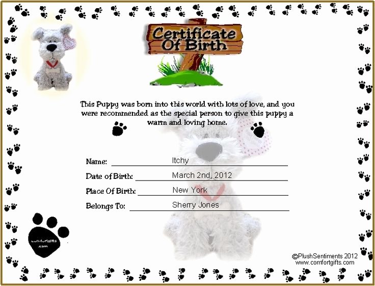 Puppy Birth Certificate Template Free New Printable Puppy Birth Certificate Template Tattoos