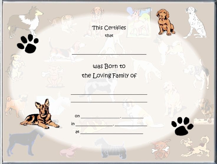 Puppy Birth Certificate Template Free Unique 85 Best Raisin A Puppy Images On Pinterest